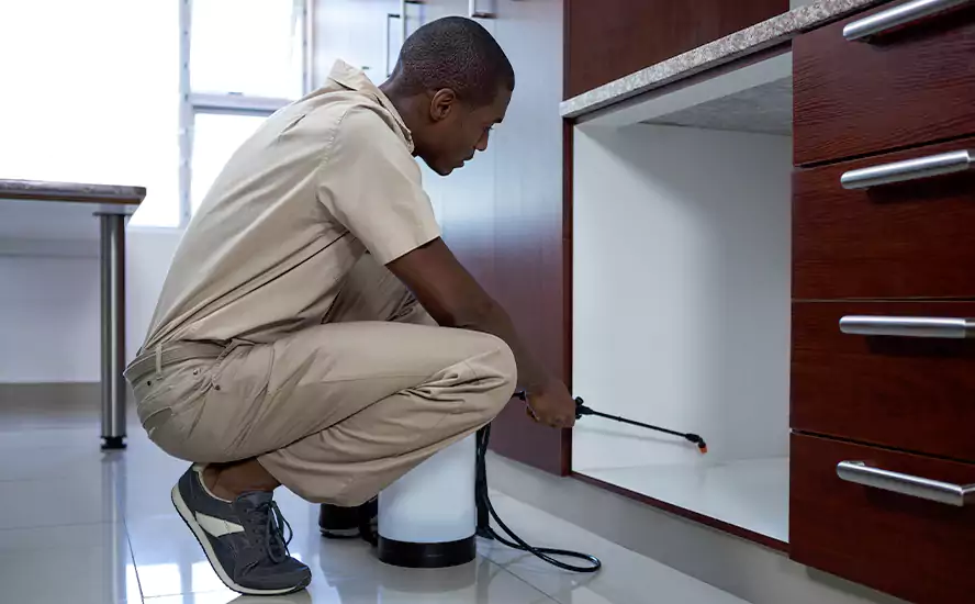 Top-Notch Pest Control in Katy