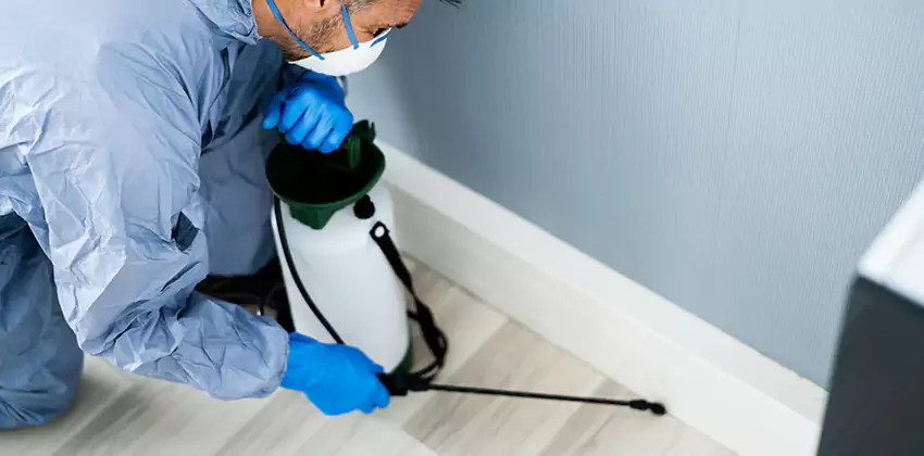 24-hour-pest-control in Katy, TX