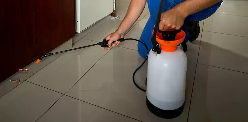 cockroach-treatment in Katy, TX