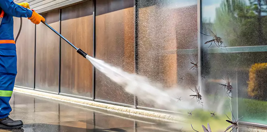 mosquito-control in Katy, TX