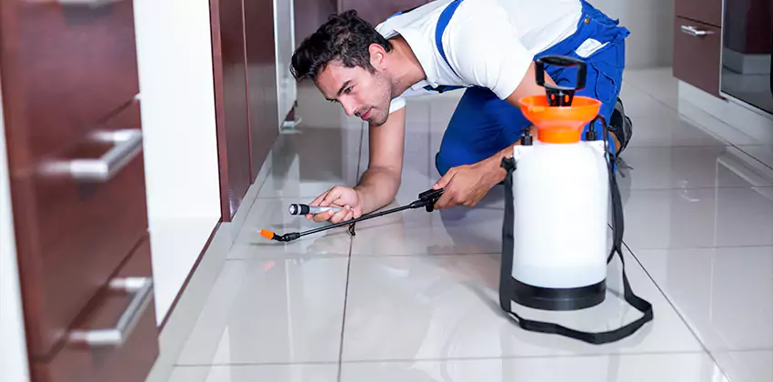 termite-exterminator in Katy, TX