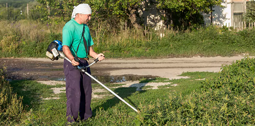 tick-treatment-for-yard in Katy, TX