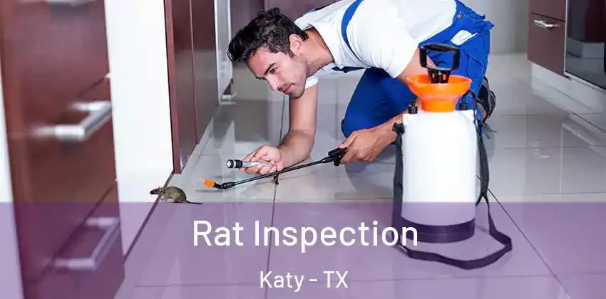  Rat Inspection Katy - TX